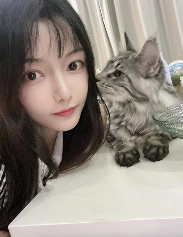 波士顿私人伴游